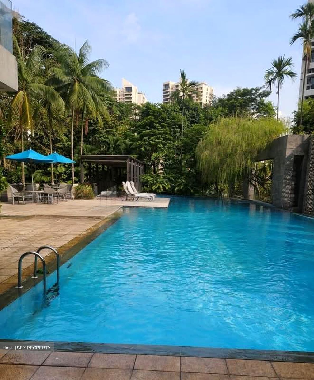 Leonie Hill Residences (D9), Apartment #542736621